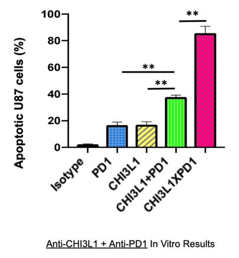 Image of Anti-CHi3L1+Anti-PD1 bispecific immunotherapy